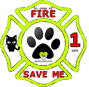 reflective 1 cat rescue decal
