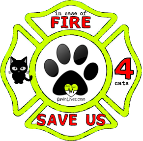 reflective 4 cats rescue decal