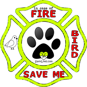 reflective bird rescue decal, bird alert, save my pets, bird alert sticker, bird window sticker, bird inside, bird emergency decal, bird inside decal, cats finder, bird rescue alert decal, firefighter decal, refelctive decal, reflective sticker, in case of fire, firefighter decal, fire department