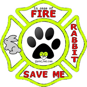 reflective rabbit rescue decal