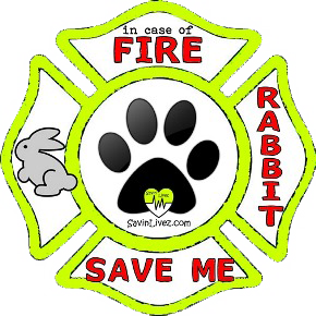 reflective rabbit rescue decal, rabbit alert, save my pets, rabbit alert sticker, rabbit window sticker, rabbit inside, rabbit emergency decal, rabbit inside decal, rabbit finder, bunny decal, save my bunny, bunny rabbit, rabbit rescue alert decal, firefighter decal, refelctive decal, reflective sticker, in case of fire, firefighter decal, fire department